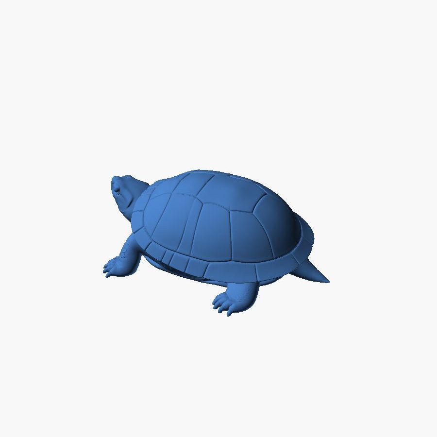 Mini Turtles - Realistic