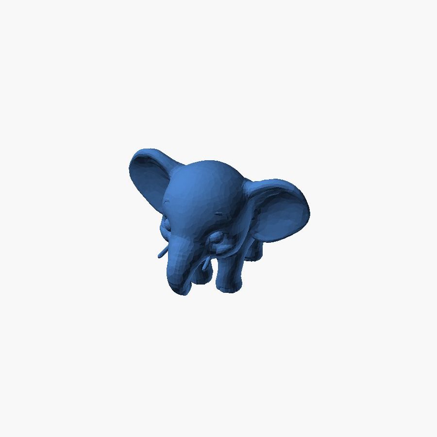 Baby Elephant