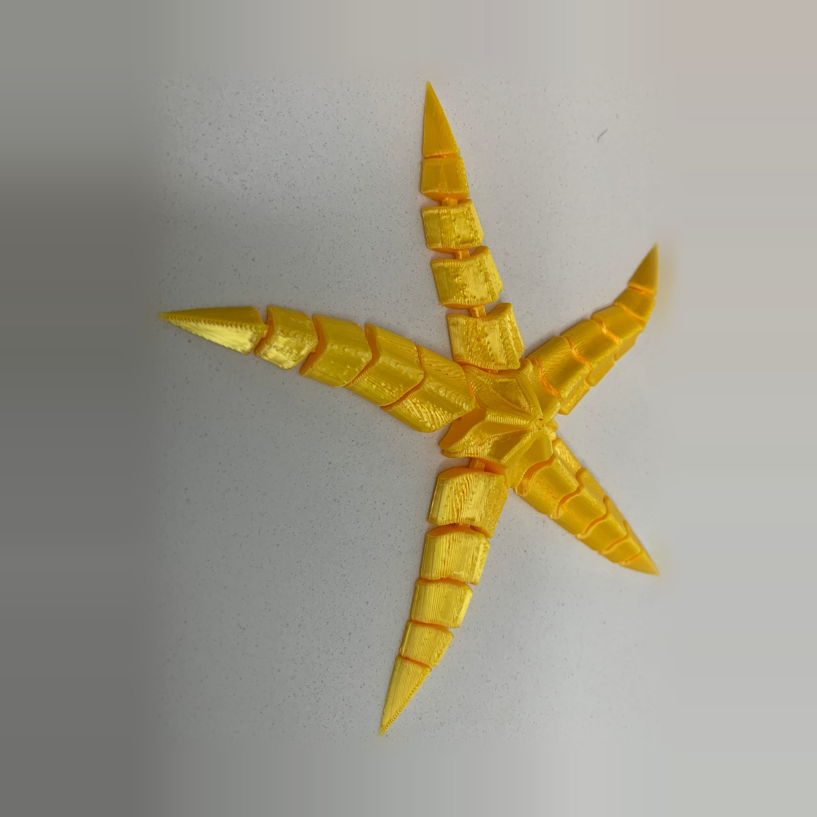 Flexi Starfish