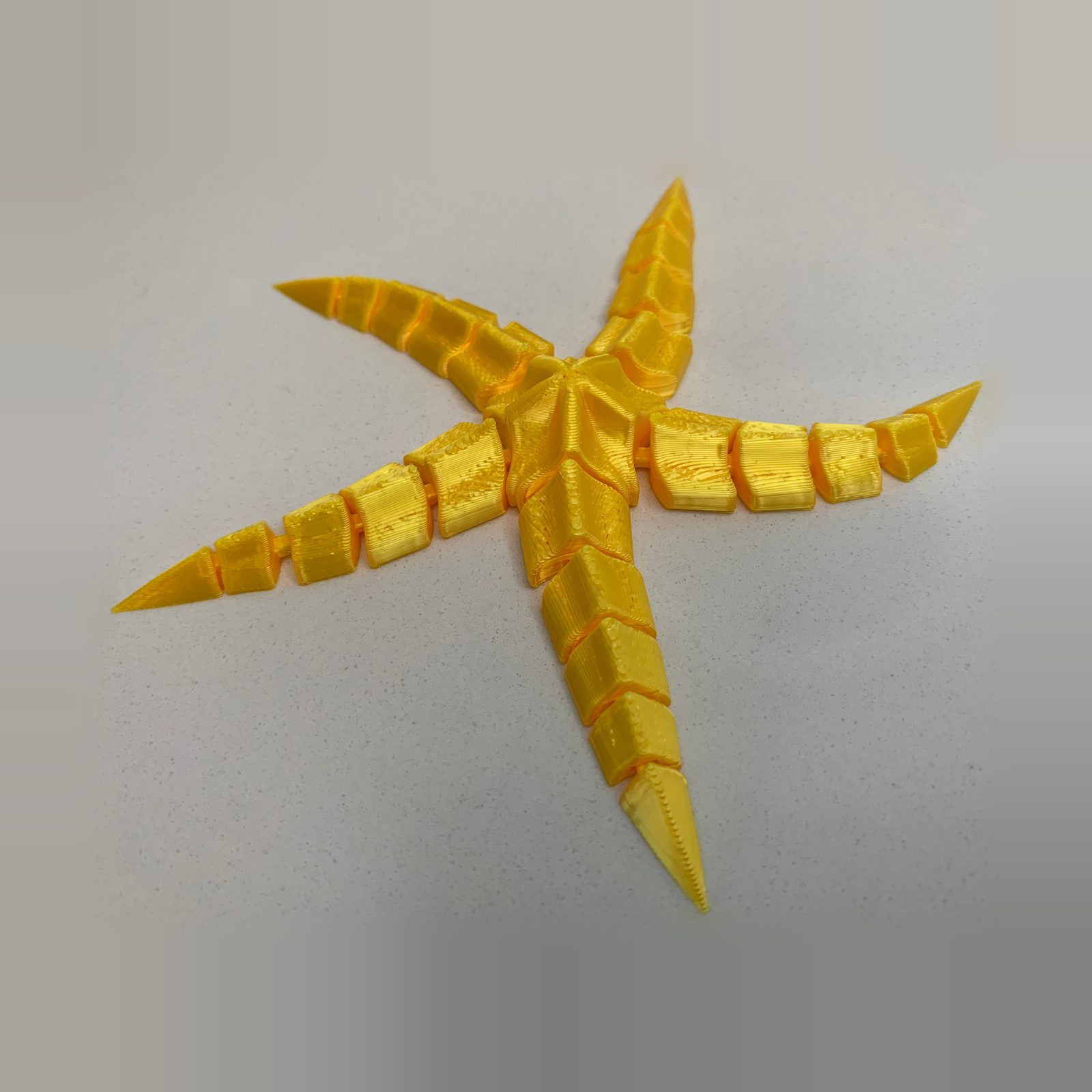 Flexi Starfish