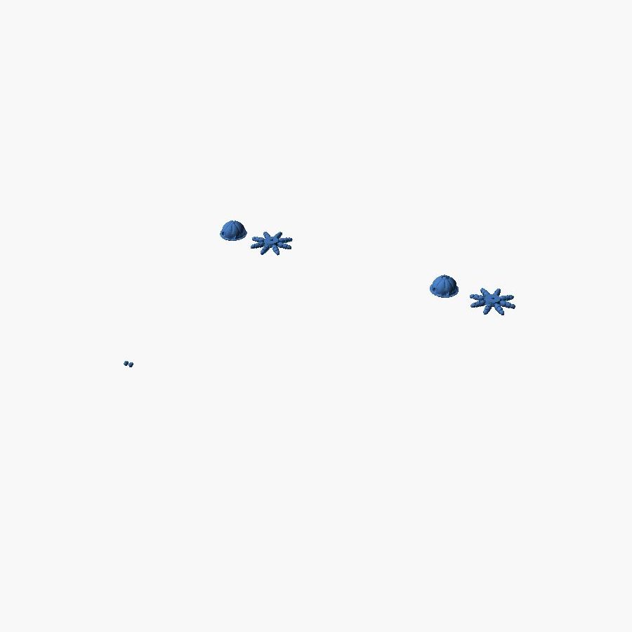 Cute Jellyfish