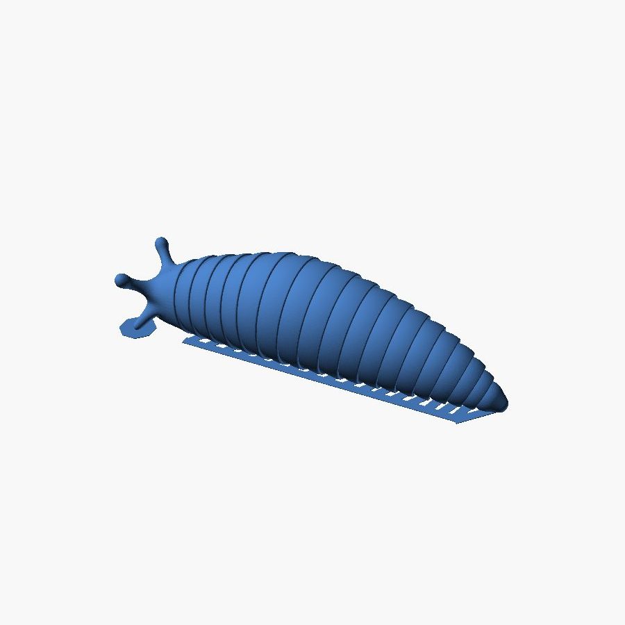 Slug with Ez Brims