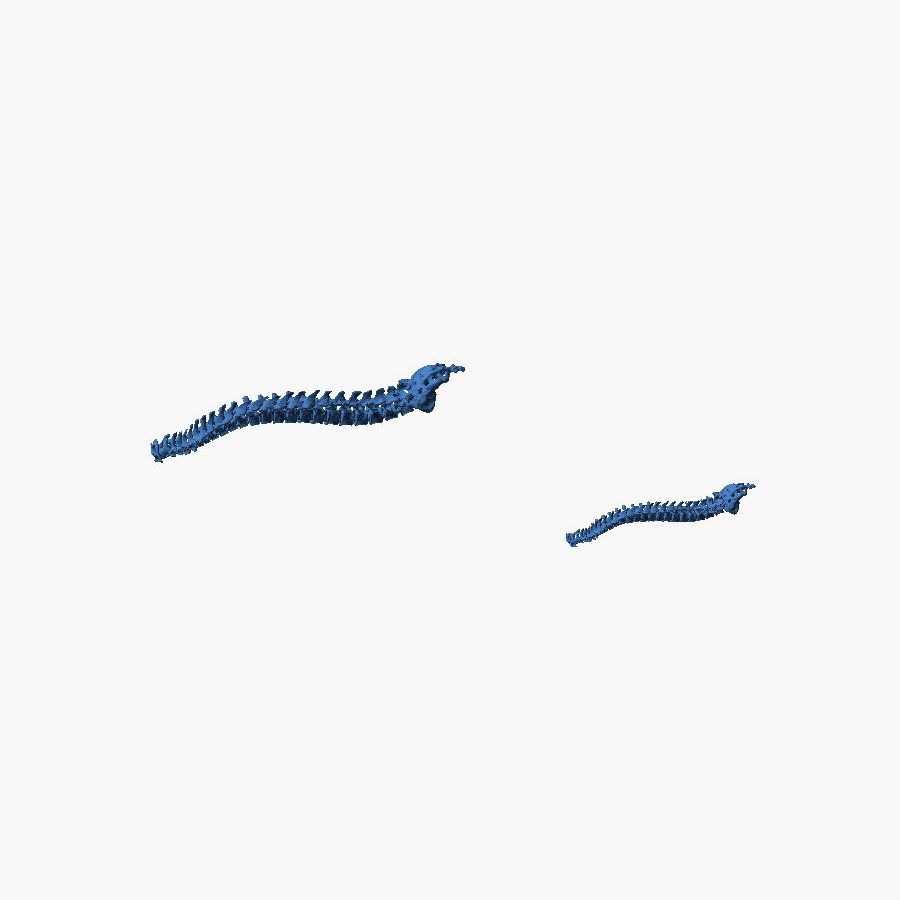 Flexi Articulated Spine